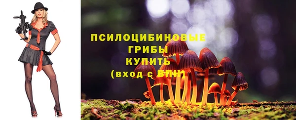 прущие крисы Белоозёрский