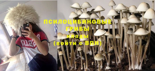 ALPHA-PVP Покровск