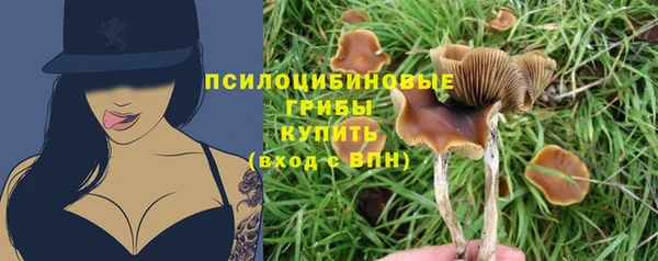 кристаллы Покачи